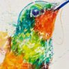hummingbird IX - Delux - Image 2