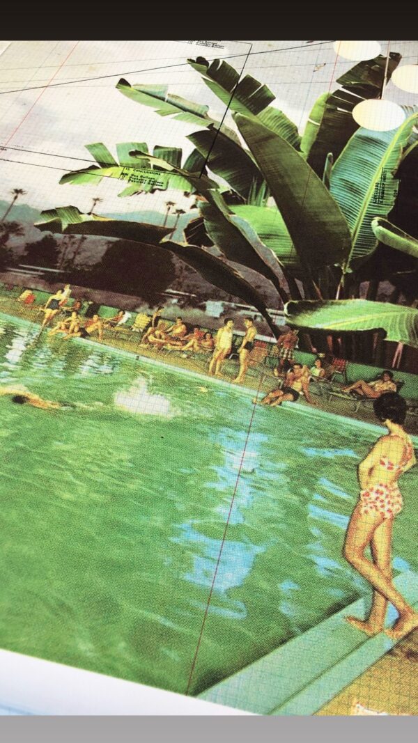 Underneath the palms - Image 2